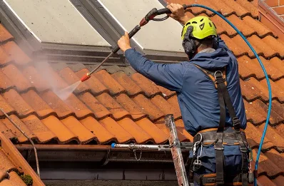 Démoussage et hydrofuge de toiture à Vendelée